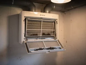 Geopend WTW-ventilatiebox in Nederlandse meterkast met stoffige filters, donkere schimmelsporen op condensaatbak en grijze geïsoleerde kanalen.